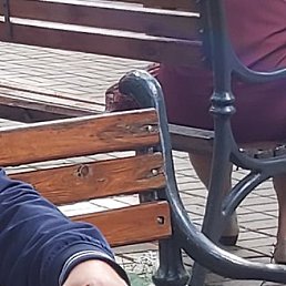 ��������, ������, 65 ���