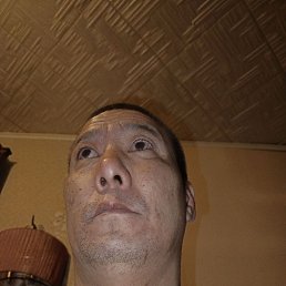 ������, 46 ���, ����-���������