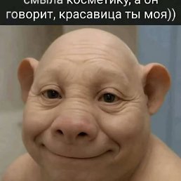 , , 49 