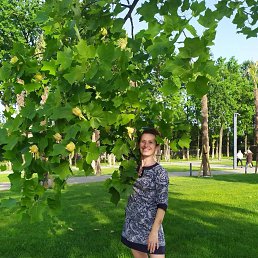 �������, 42 ����, ���������