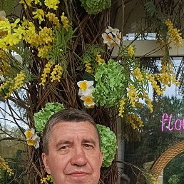 , 54, 