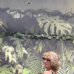 ������, �����������, 56 ���