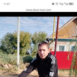 , 37, 