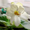 ���� ������, �����������, 58 ��� - ��������� 12 ��� 2026 � ������ ���� ����������