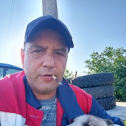 , 46, 