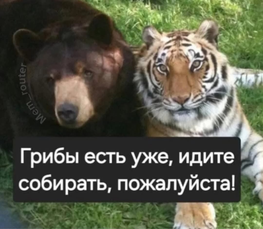 :)