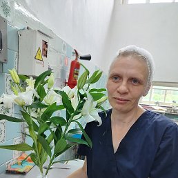 , 43 , 