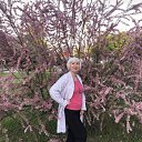 ���� ��������, �����, 67 ��� - ��������� 10 ���� 2025 � ������ ���� ����������