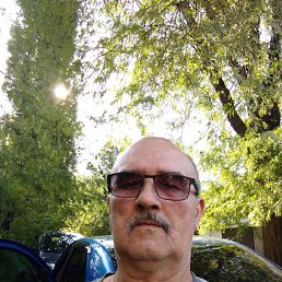 ���� ��������, �������, 66 ��� - ��������� 20 ������ 2024