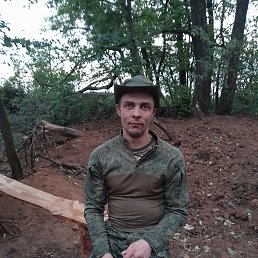 , 37, 
