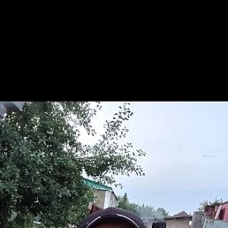 , 44, 