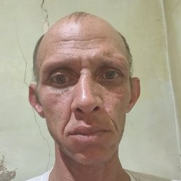 , , 46 