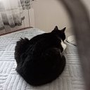 ���� ������� ��������, ������, 52 ���� - ��������� 21 ��� 2025 � ������ ���� ����������