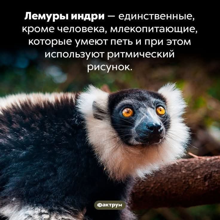 :)