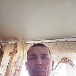 ������, 51 ���, ��������