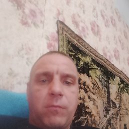 , 41 , -