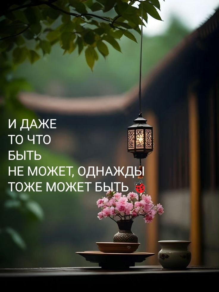   - 1  2025  17:02