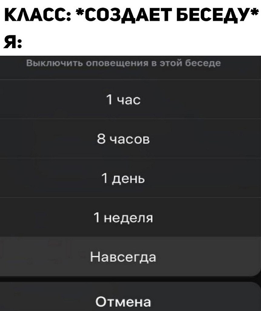 ? ,  ! - 24  2025  22:43