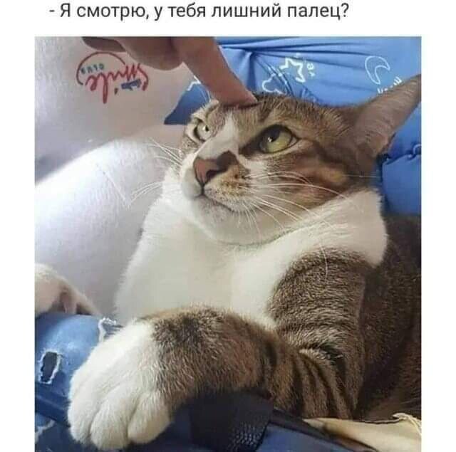 ***Victoria Viktorovna*** - 20  2023  06:03
