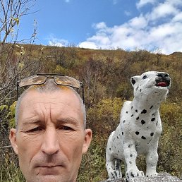 , 45, 