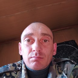 , 41, 