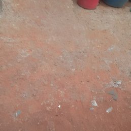 Ling Raj, �����������, 22 ����