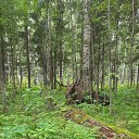 ���� ������, ������� - ��������� 16 ������� 2025 � ������ ���� ����������