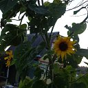 ���� ��������, ������ - ��������� 8 ���� 2026 � ������ �������