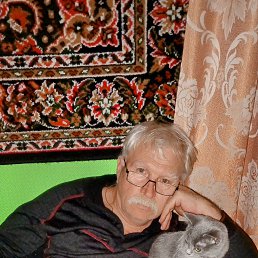  , 59 , 