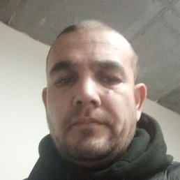 ������, ������, 40 ���