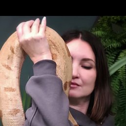 ���� �����, �����-���������, 44 ���� - ��������� 12 ������� 2026