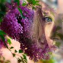 ���� ****����������****, �������� - ��������� 23 ������ 2025 � ������ ���� ����������