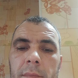 , 37, 