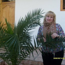 , 42, 