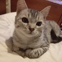 ���� ����, ������ ����� - ��������� 14 ������ 2025 � ������ ������ ��������