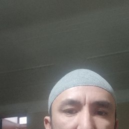 �����, 31 ���, ���������