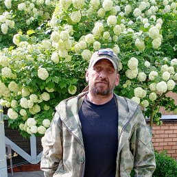 ������, 49 ���, �����