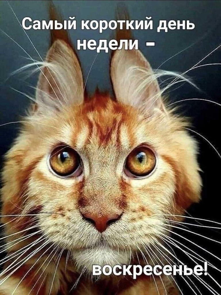 :)