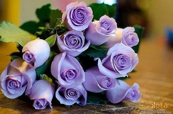 ������ ������� - 2 ������ 2026 � 17:07
