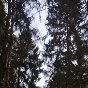 �����, 35 ���, ����