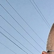 ., 43 , 