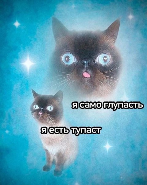 ���� - 27 �������� 2025 � 09:20 - 3