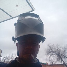 ��������, 37 ���, ������