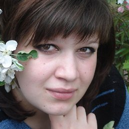 �����, ��������, 41 ���