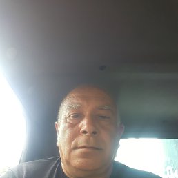 , 53, 