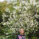 ���� �������, ������ - ��������� 29 ���� 2025