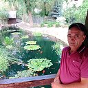 ���� �������, ���������, 50 ��� - ��������� 13 ������� 2025 � ������ ���� ����������