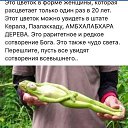 ���� �����, ���� - ��������� 10 ����� 2025 � ������ ���� ����������