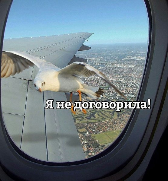    - 21  2023  06:42