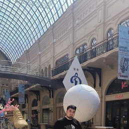 , 33, 